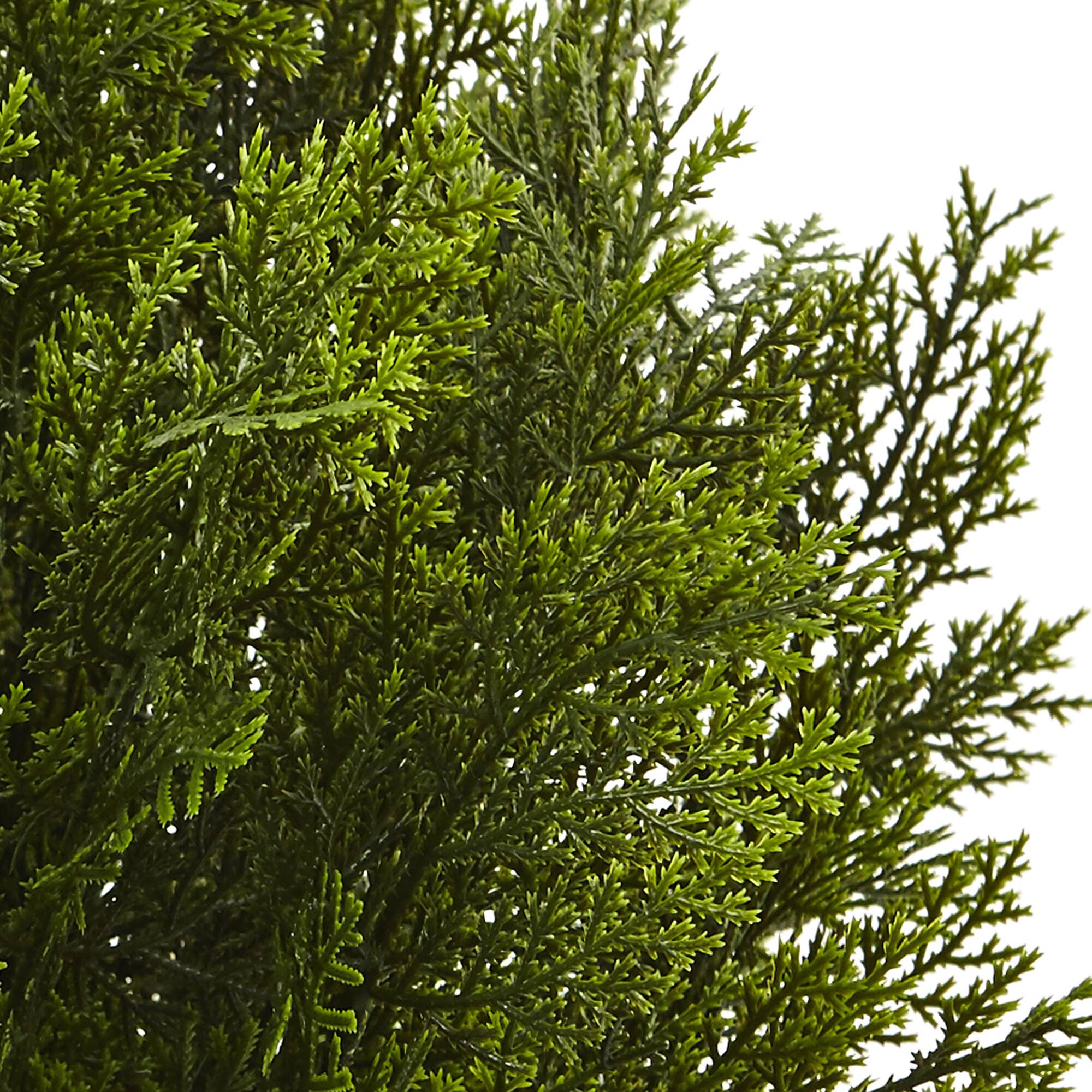 2ft. Potted Cedar Bush